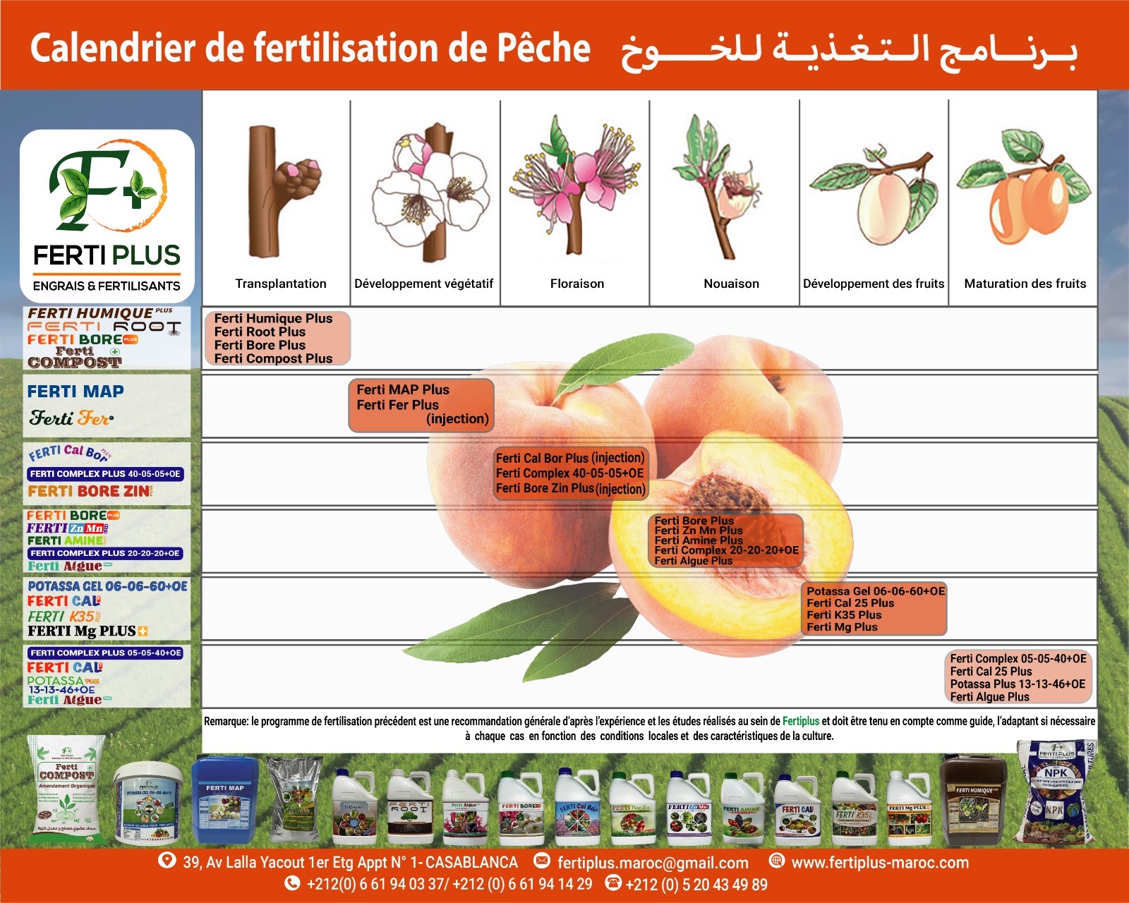 Calendriers fertilisation - Ferti Plus 2024 - 02