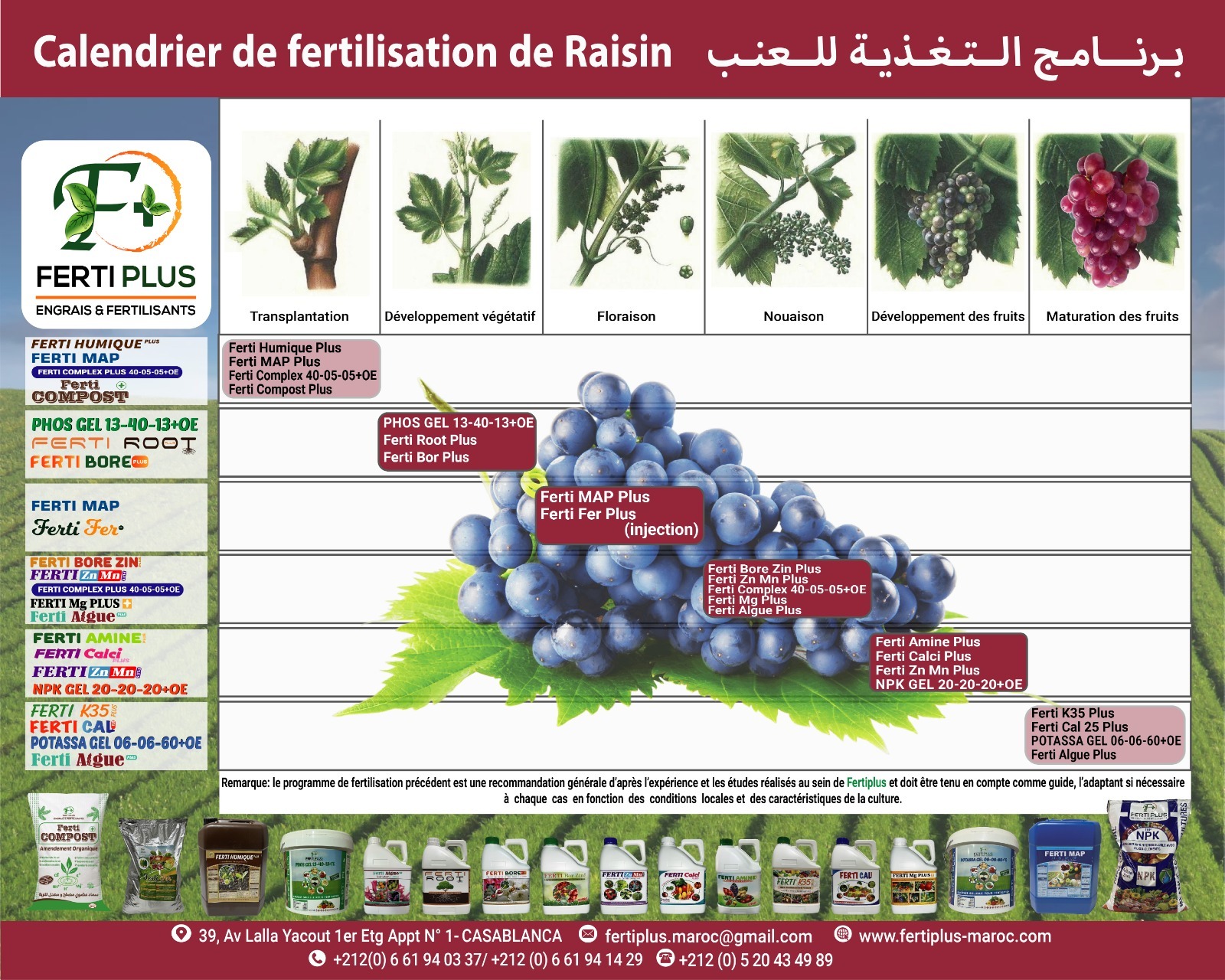 Calendriers fertilisation - Ferti Plus 2024 - 06