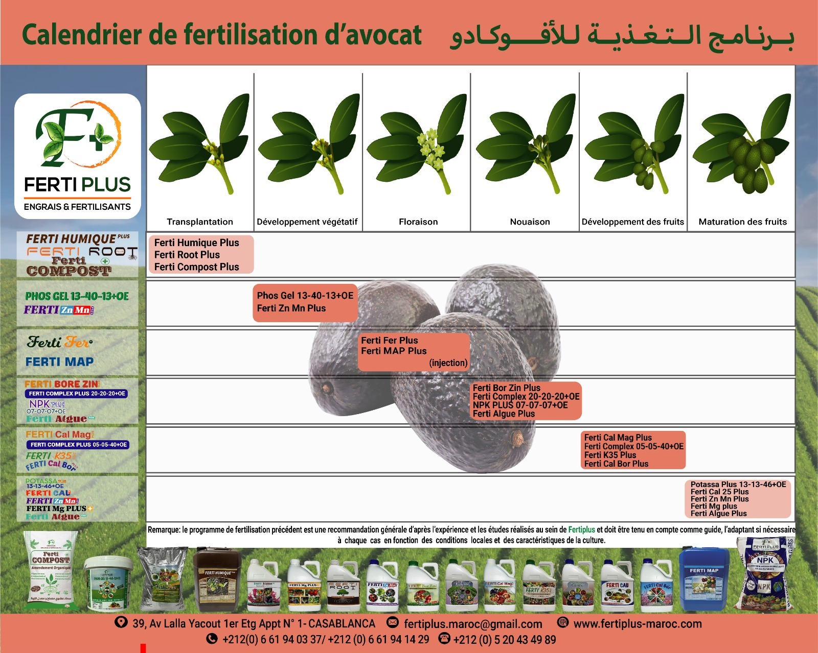 Calendriers fertilisation - Ferti Plus 2024 - 08