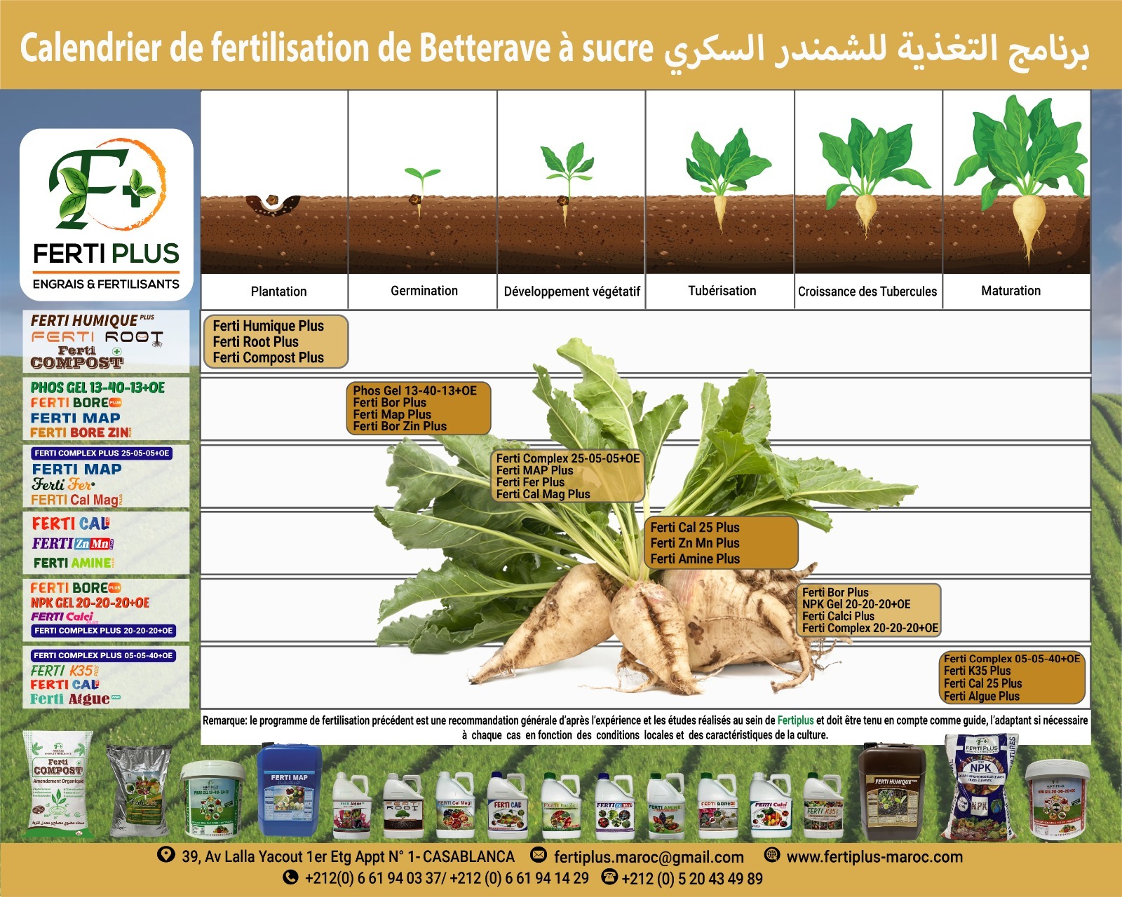 Calendriers fertilisation - Ferti Plus 2024 - 09